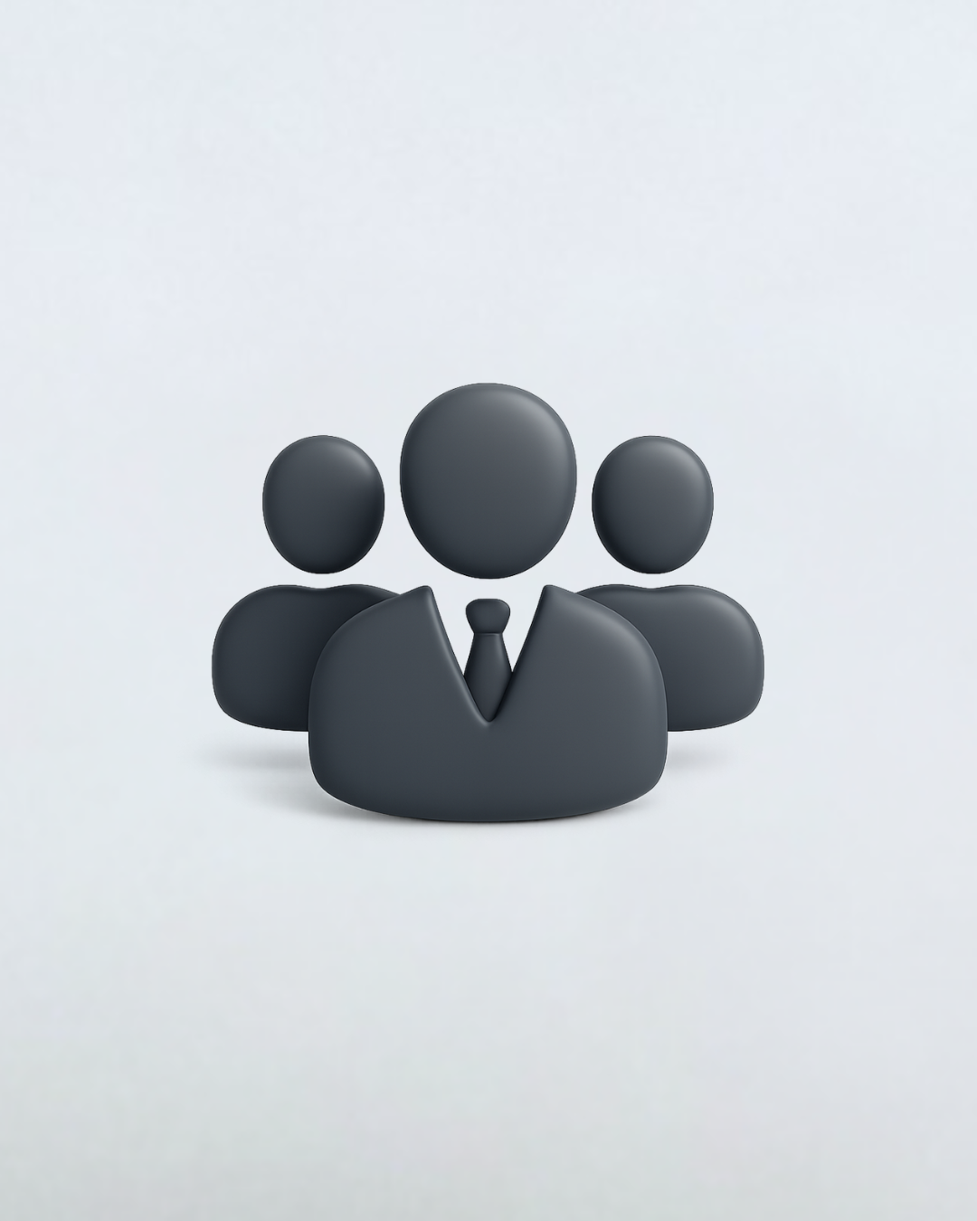 +3 Partner Companies